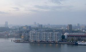 Unilever Rotterdam