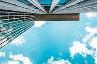 perspectief