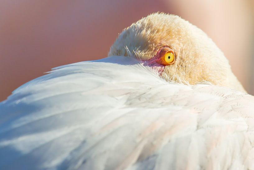 See you around! by Kris Hermans