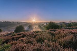 Posbank ( natuur ) von Henk Smit