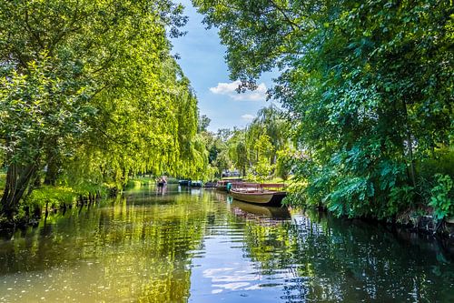 SPREE FOREST Boat trip on the streams by Melanie Viola
