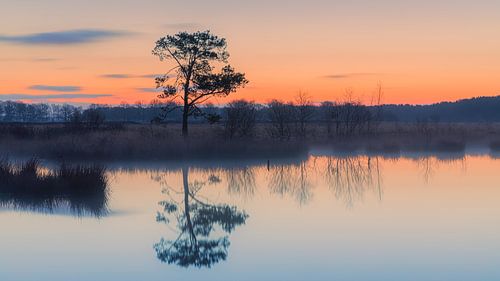 Zonsopkomst in het Nationaal Park Dwingelderveld