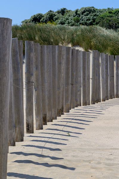 Shadows van Peter Bartelings