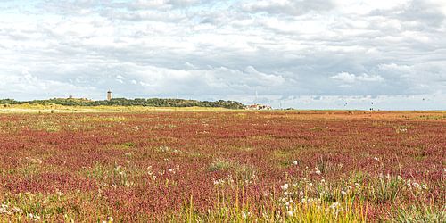 Grüner Strand Terschelling