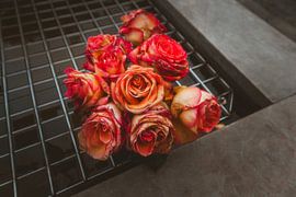 Schöne Unvollkommenheit – Stimmungsvolle verwelkte Rosen von Henrik Tuvesson