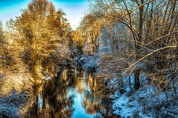 Paysage hivernal au bord de la rivière sur Dieter Walther