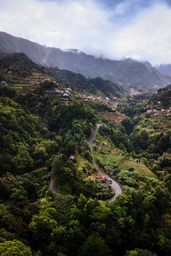 Groene bergen van Madeira (2) van Luc van der Krabben