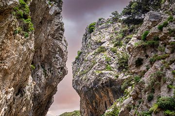 De verliefde rotsen van de Kotsifou Kloof, Kreta, Griekenland van Chantalla Photography