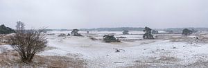 Verschneite Winterlandschaft im Treibsanddünengebiet Hulshorsterzand