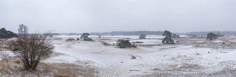 Snow winter landscape in the Hulshorsterzand drifting sand dune area by Sjoerd van der Wal Photography