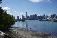 Nature and island view of the Miami skyline