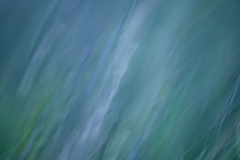 Abstracte bloemenweide van Tania Perneel