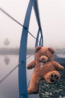 Alone in the mist #2
