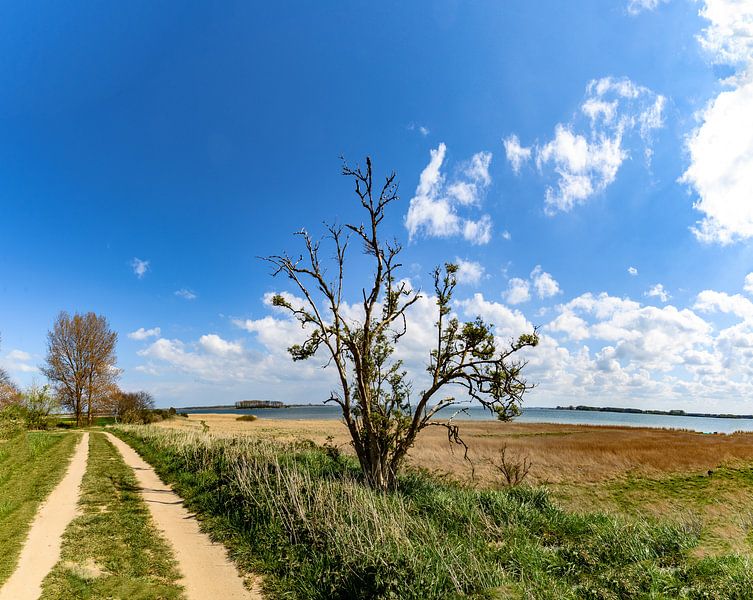 Feldweg entlang der Küste bei Glutzow, Insel Rügen von GH Foto & Artdesign