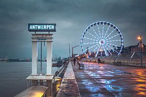 Farbenfrohe Reflektionen auf den Scheldekais | Stadtfotografie