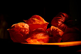 Lampionnetjes in herfstlicht