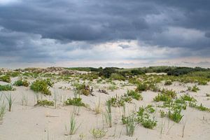 Dunes sur Eva Overbeeke