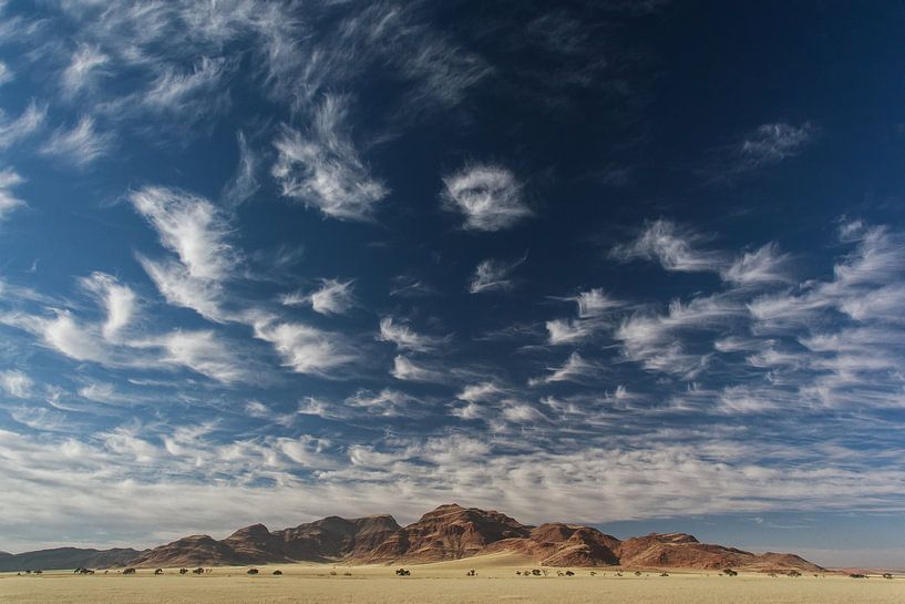 langs de weg in namibië van Ed Dorrestein