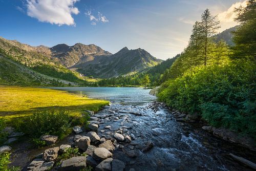 Bomen en rotsen langs de oevers van het meer van Arpy. Valle d'Aosta