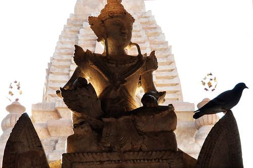 Beeld in silhouet beschenen door zonlicht