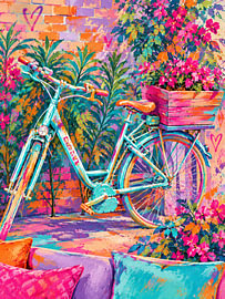 Kleurrijke fiets van Denise de wit-rodenburg