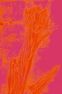 Moderne botanische kunst. Boho Tulp in felle kleuren nr. 2 van Dina Dankers