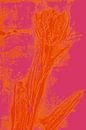 Moderne botanische kunst. Boho Tulp in felle kleuren nr. 2 van Dina Dankers thumbnail
