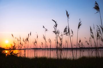 Ruhe zum Sonnenaufgang von Steffen Henze