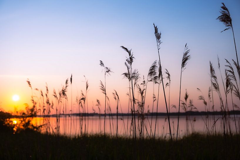 Le calme au lever du soleil par Steffen Henze