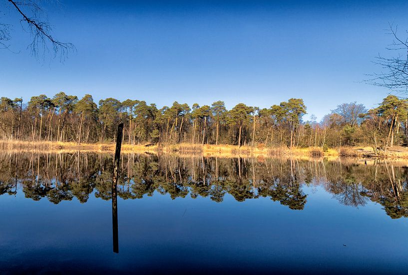 Réflexion par Marly De Kok