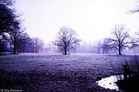 Winter Landscape by N-Joy Pictures thumbnail