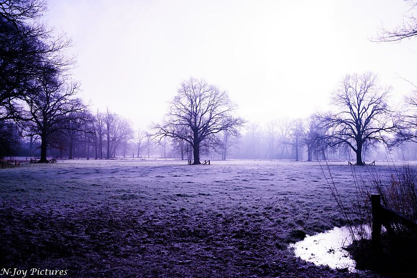 Winter Landscape by N-Joy Pictures