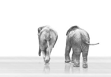 Twee olifanten van Christiane Calmbacher