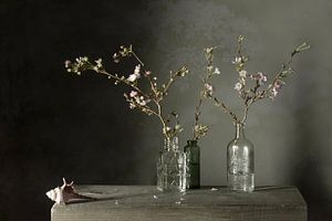 Stillleben 'Winterblüte