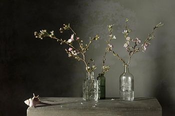 Stilleven ‘Winterbloesem’