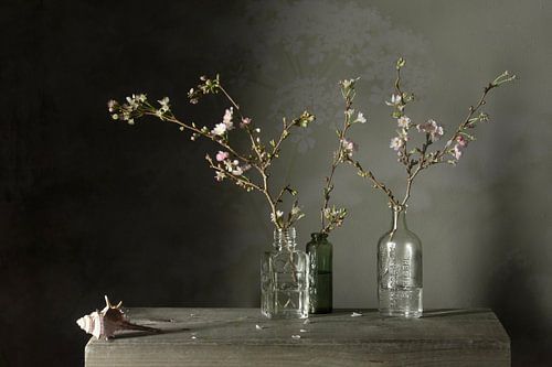 Stillleben 'Winterblüte