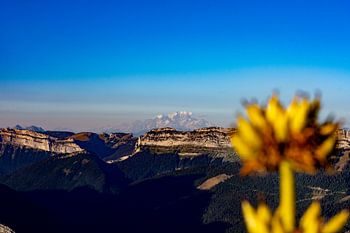 Zicht op de Alpen tijdens het gouden uur vanuit de Chartreuse