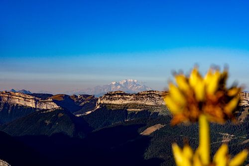 Vue sur les Alpes à l'heure dorée depuis la Chartreuse