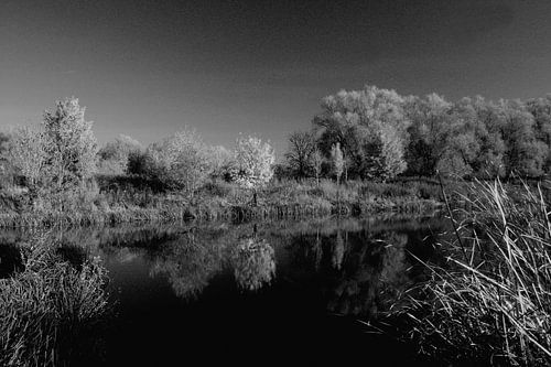 Herfst in Maastricht