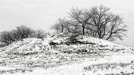 abstract landscape by Jan Linskens