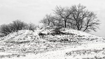 abstract landschap van Jan Linskens