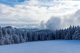 Winterwunderland Thüringer Wald am Schneekopf von Oliver Hlavaty