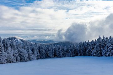 Winter Wonderland Thüringer Woud bij Schneekopf van Oliver Hlavaty