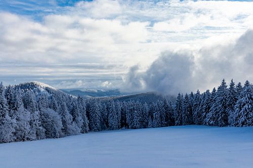 Merveilleux paysage hivernal de la forêt de Thuringe au Schneekopf