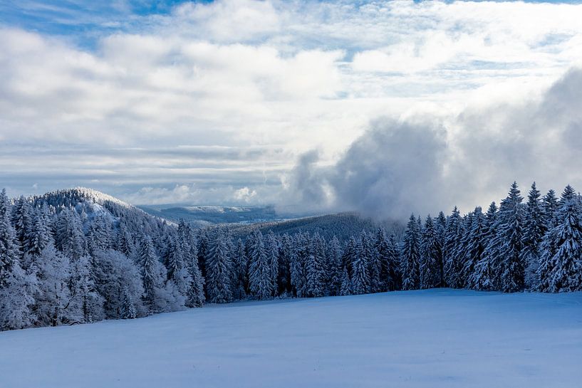 Winter Wonderland Thüringer Woud bij Schneekopf van Oliver Hlavaty