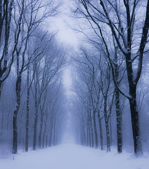 Un paysage infini