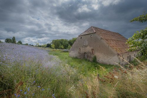Oude boerderij bij dijk