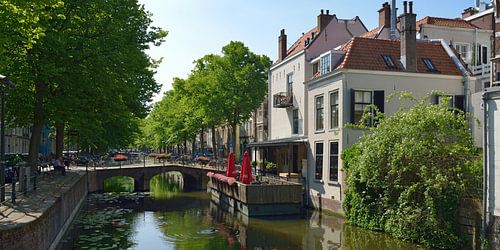 Haagse gracht