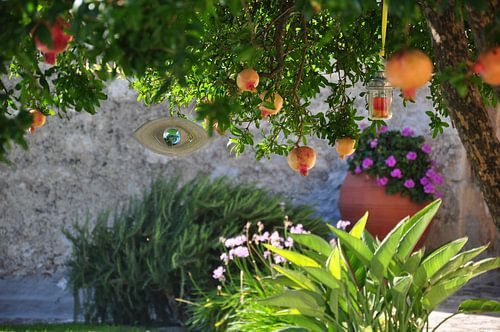 Granatapfelbaum Garten in Kreta Griechenland von Beautiful Company Studio Design (bcstudio)