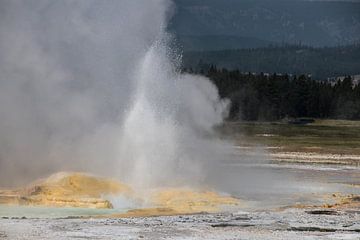 Geiser in Yellowstone van Jan-Thijs Menger